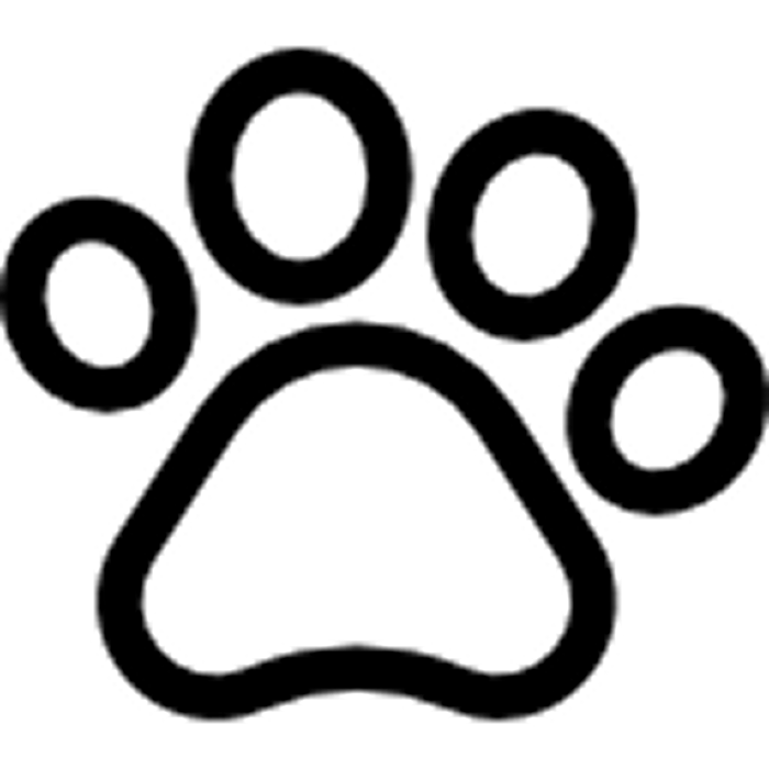 kutyabarat