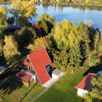 pipihorgasznyaralo-madartavlat